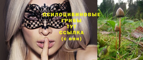 амф Куйбышев