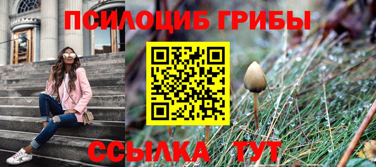 Псилоцибиновые грибы мицелий Волжский