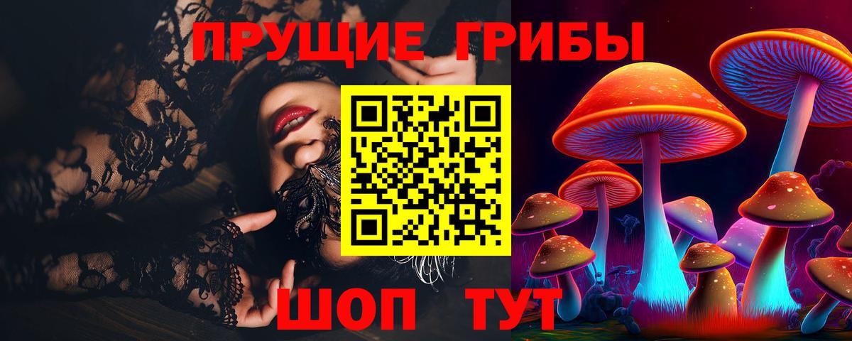 Волжский  Галлюциногенные грибы Psilocybe  Вход с VPN 